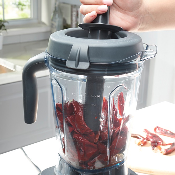 Vida Sana™ Electrics - High-Power Blender