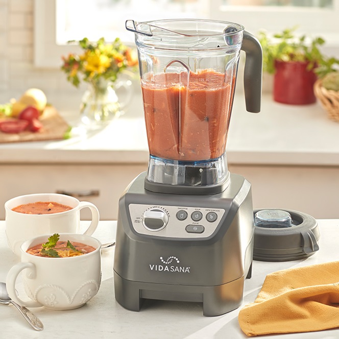 Vida Sana™ Electrics - High-Power Blender