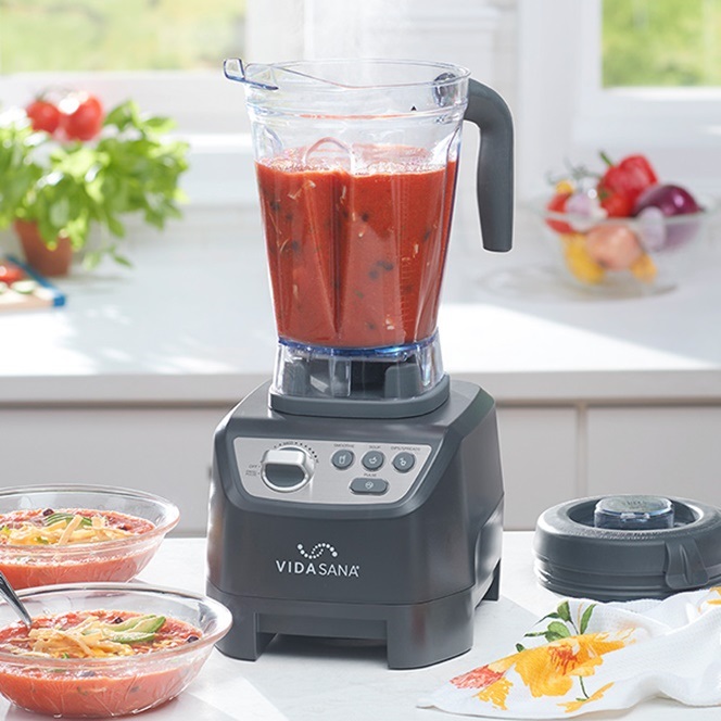Vida Sana™ Electrics - High-Power Blender