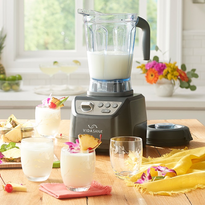 Vida Sana™ Electrics - High-Power Blender