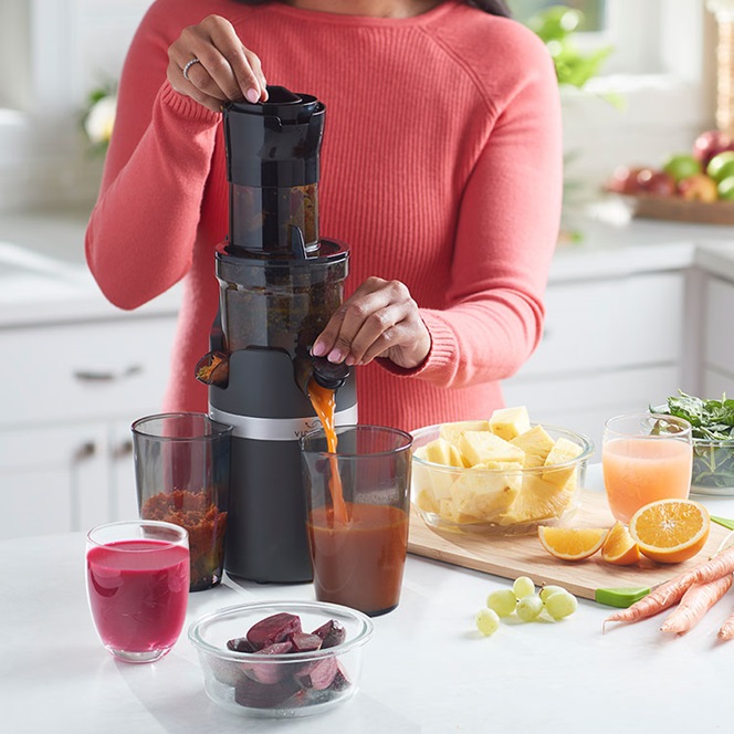 Vida Sana™ Electrics - Cold Press Pro Juicer